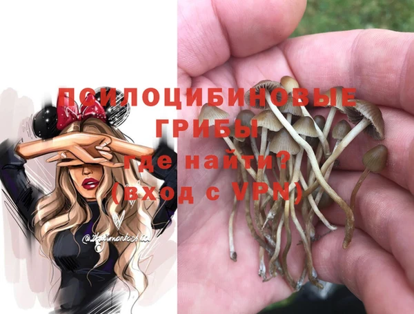 бутират Баксан