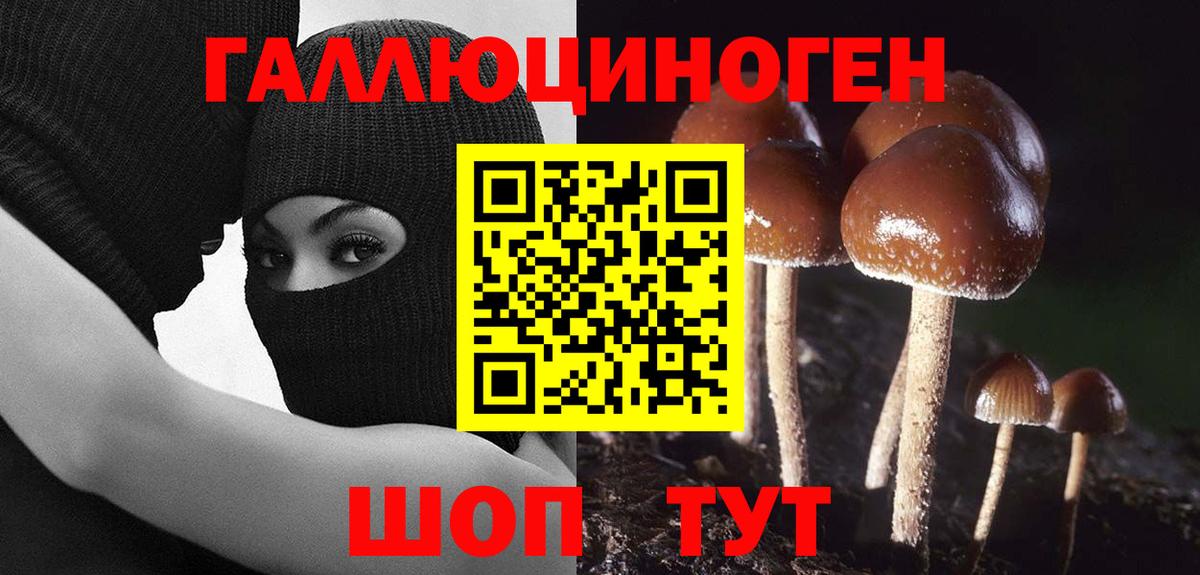 Белорецк  Галлюциногенные грибы мицелий  Вход с VPN 